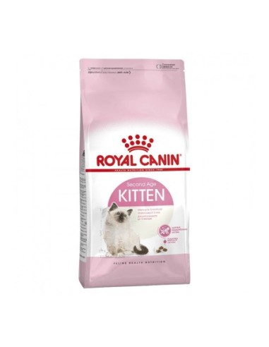 Kitten Felino 1,5 kg