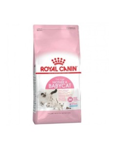 Mother & Babycat 1,5 kg
