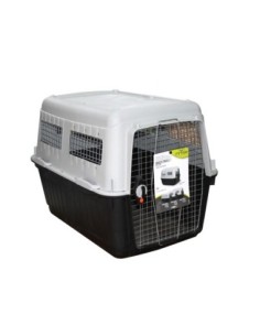 Canil Bracco Travel 7...