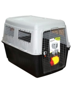 Canil Bracco Travel 8...