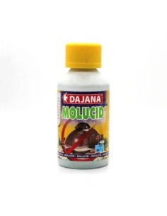 DAJANA MOLUCID
