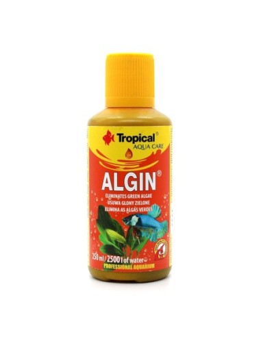 TROPICAL ALGUIN