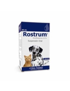 Rostrum Suspension