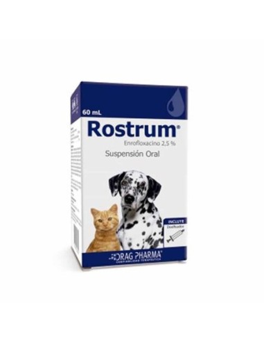 Rostrum Suspension