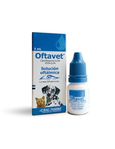 Oftavet Solucion