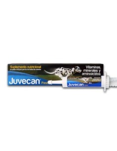Juvecan Pasta