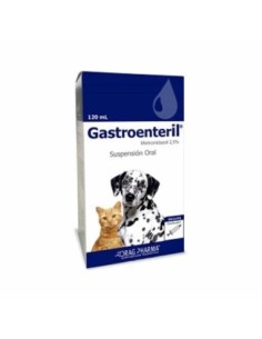 Gastroenteril Suspension