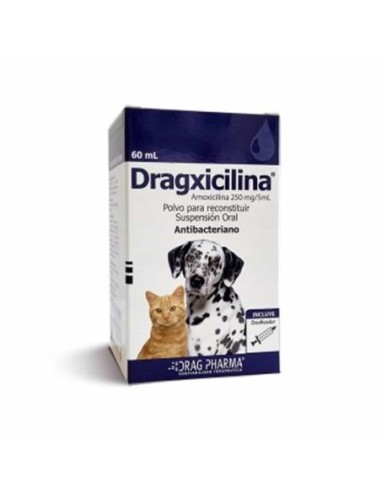 Dragxicilina Suspension