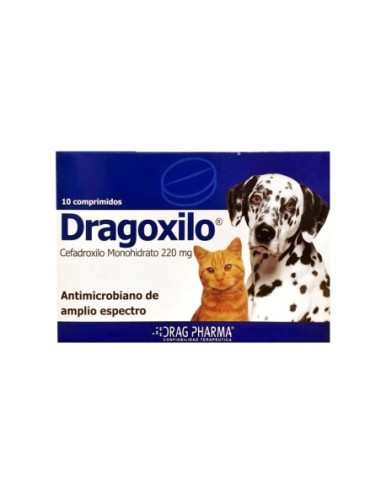 Dragoxilo Comprimido