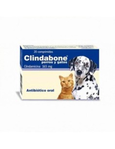 Clindabone Comprimido