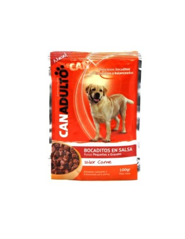Can Adulto Carne Sachet 100 gr