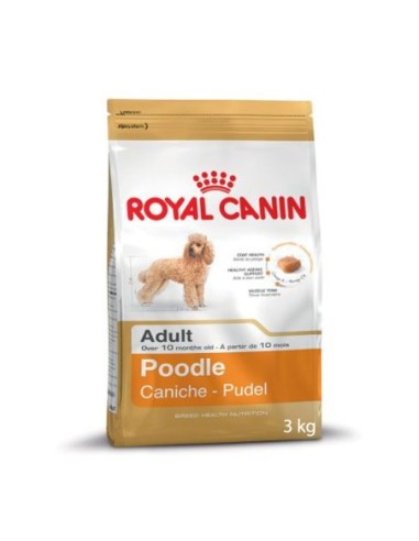 Royal Canin Poodle Adulto 3 kg