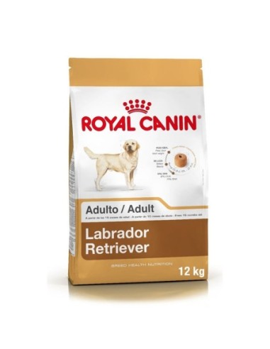 Royal Canin Labrador Adulto 12 kg