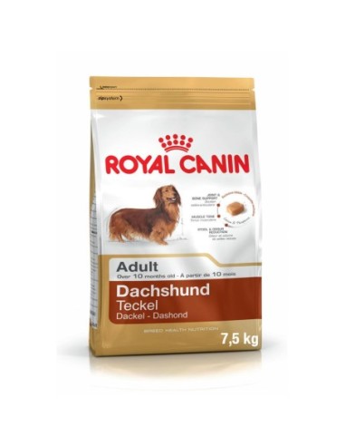 Royal Canin Dachshund Adulto 7,5 kg