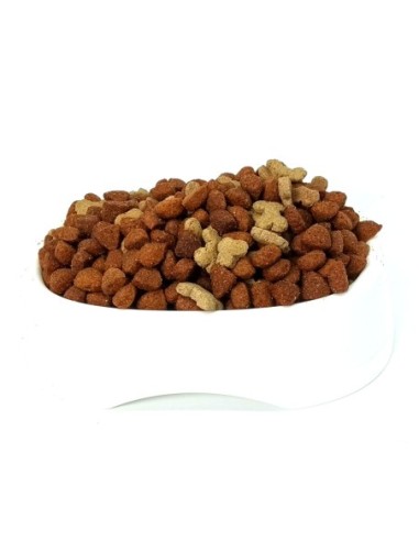 Guardian Granel 1 kg