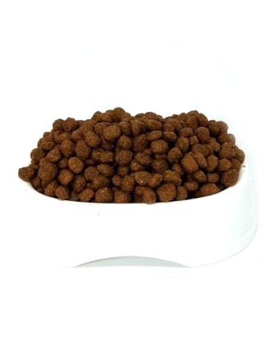Fit Formula Cachorro Granel 1 kg