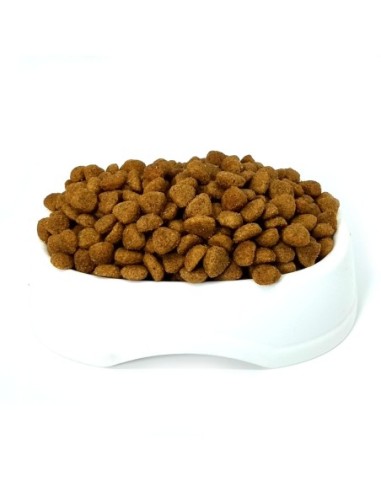 Animal Planet Cachorro Granel 1 kg