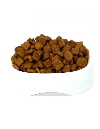 Animal Planet Adulto Granel 1 kg