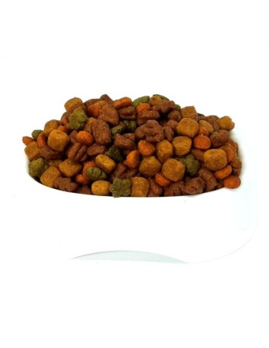 Dog Chow Cachorro Granel 1 kg