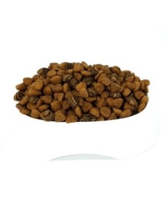 Master Dog Cachorro Granel...