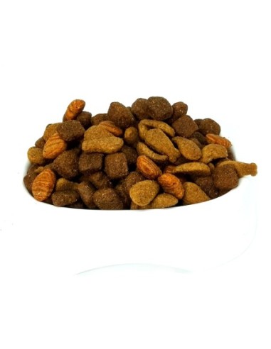 Master Dog Adulto Pollo Granel 1 kg