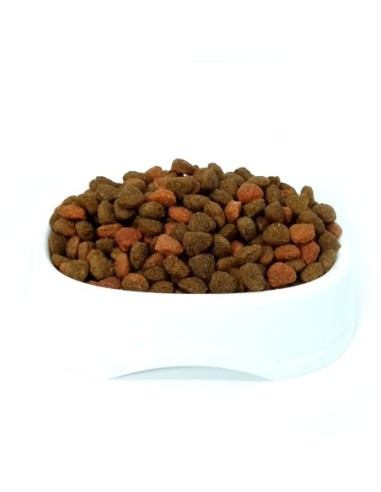 Pedigree Senior Granel 1 kg