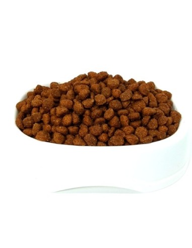 Can Cachorro Granel 1 kg