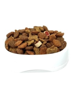 Can Adulto Granel 1 kg